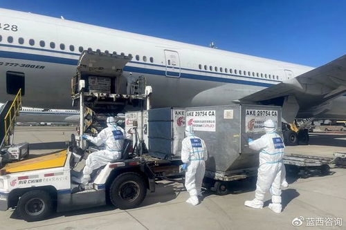 奧運選手的大件行李如何運輸？中國聯航相關規定與服務全解析